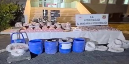 Aydın'da 1 milyon 210 bin adet sentetik hap ve ham madde ele geçirildi
