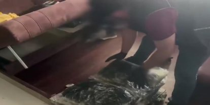 İstanbul Ataşehir’de 44 kilo skunk ele geçirildi