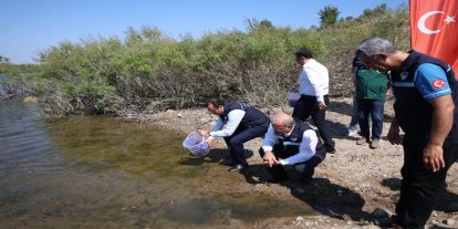 Çanakkale’de su kaynaklarına 955 bin sazan yavrusu bırakılacak