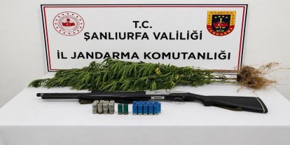 Şanlıurfa'da uyuşturucu operasyonu: Bir şüpheli gözaltına alındı