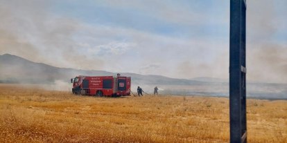 Elektrik tellerinden çıkan kıvılcım 40 dönümlük alanı küle çevirdi