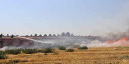 Diyarbakır'da rüzgarın etkisiyle hızla yayılan anız yangını söndürüldü