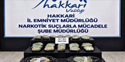 Hakkari'de 10 kilogram skunk ele geçirildi: 9 tutuklama