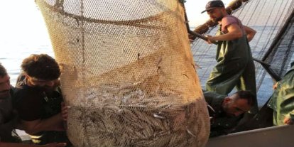 İzmir’de balık sezonu bereketli başladı: Tezgâhlarda fiyatlar geriledi