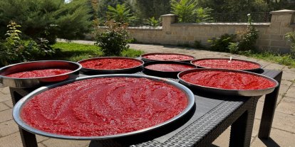 Malatya'da yazın bereketi kış sofraları için hazırlanıyor