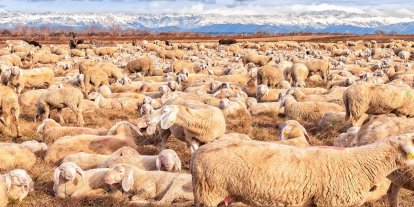 Çiftçilere 1 milyar 363 milyon liralık tarımsal destek ödemesi