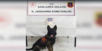 Şanlıurfa'da uyuşturucu operasyonu: Bir kilogram metamfetamin ele geçirildi