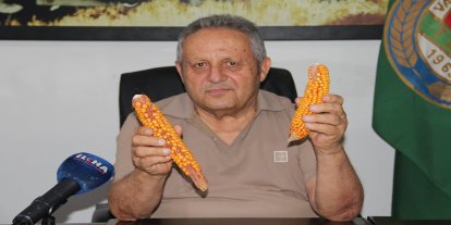 Ziraat Odası Başkanı Aydiş: Mısırda verim her sene düşüyor