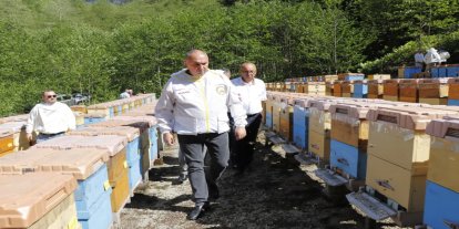 Arıcıların 2026 sezonu beklentisi: Balımız gerçek değerinden pazarlanmalı