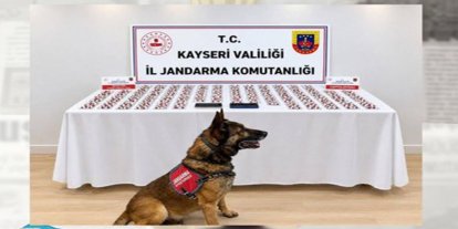 Kayseri’de bin 81 sentetik hap ele geçirildi