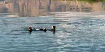 Malatya'da barajda erkek cesedi bulundu