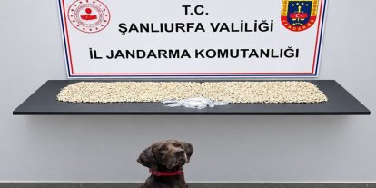 Şanlıurfa'da 14 bin uyuşturucu hap ele geçirildi