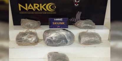 Adana'da 9 kilo 250 gram skunk ele geçirildi: 2 şüpheli tutuklandı
