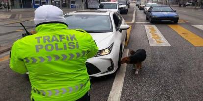 İstanbul'daki "huzur" uygulamasında 493 kişi gözaltına alındı