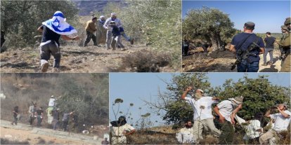 Yahudi çetelerden Filistinli çiftçilere zeytin hasadında saldırı: Zeytinler çalınıp çiftçiler darp ediliyor