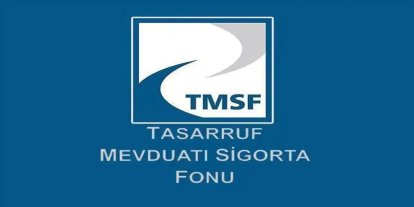 TMSF, fon denetimi için 75 personel alacak