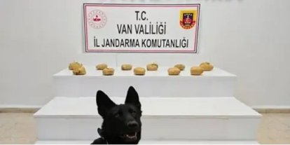 Van'da araziye gizlenmiş yaklaşık 12 kilo toz esrar bulundu