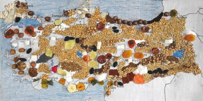 Türkiye'de tarım ve gıda sektöründe son durum ne