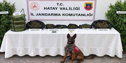 Hatay’da uyuşturucu operasyonu: Bir gözaltı