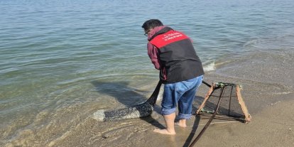 Kaçak avcılık operasyonu: 2 ton kum şırlanı ele geçirildi