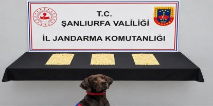Şanlıurfa'da uyuşturucu operasyonu: 2 bin 970 Captagon hap ele geçirildi