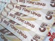 5 TL'lik banknotlarda değişiklik yapıldı