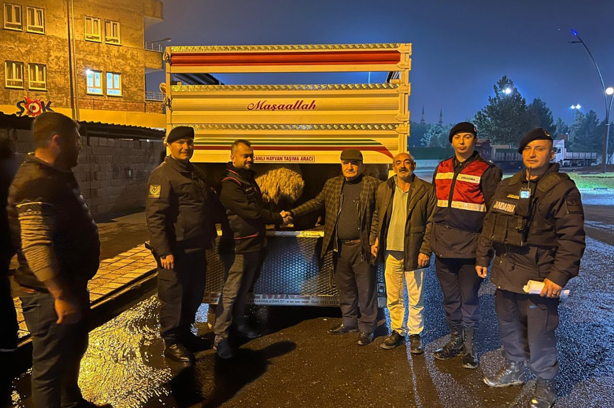 Batman'da hayvan hırsızlığından 2 kişi tutuklandı