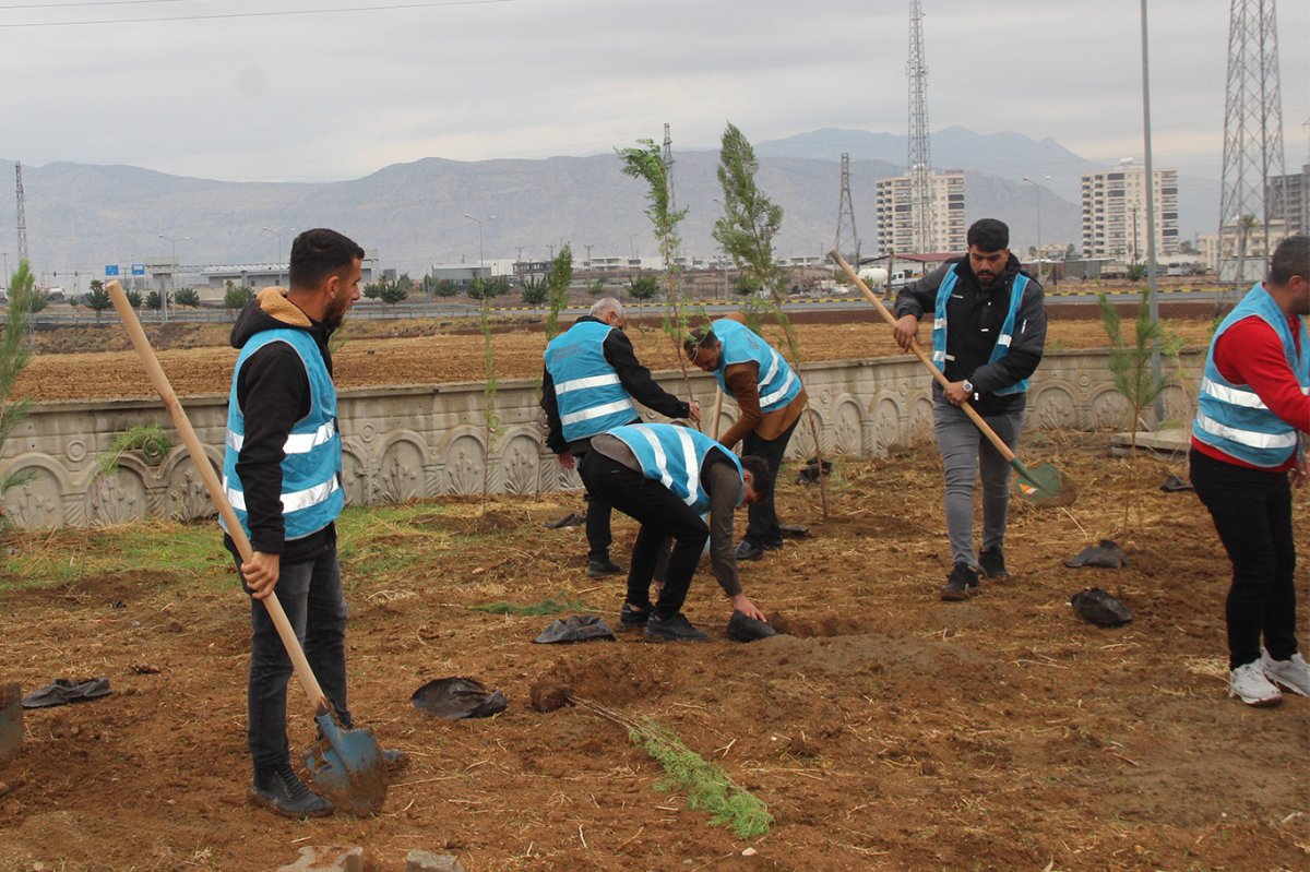 Cizre’de fidanlar toprakla buluştu