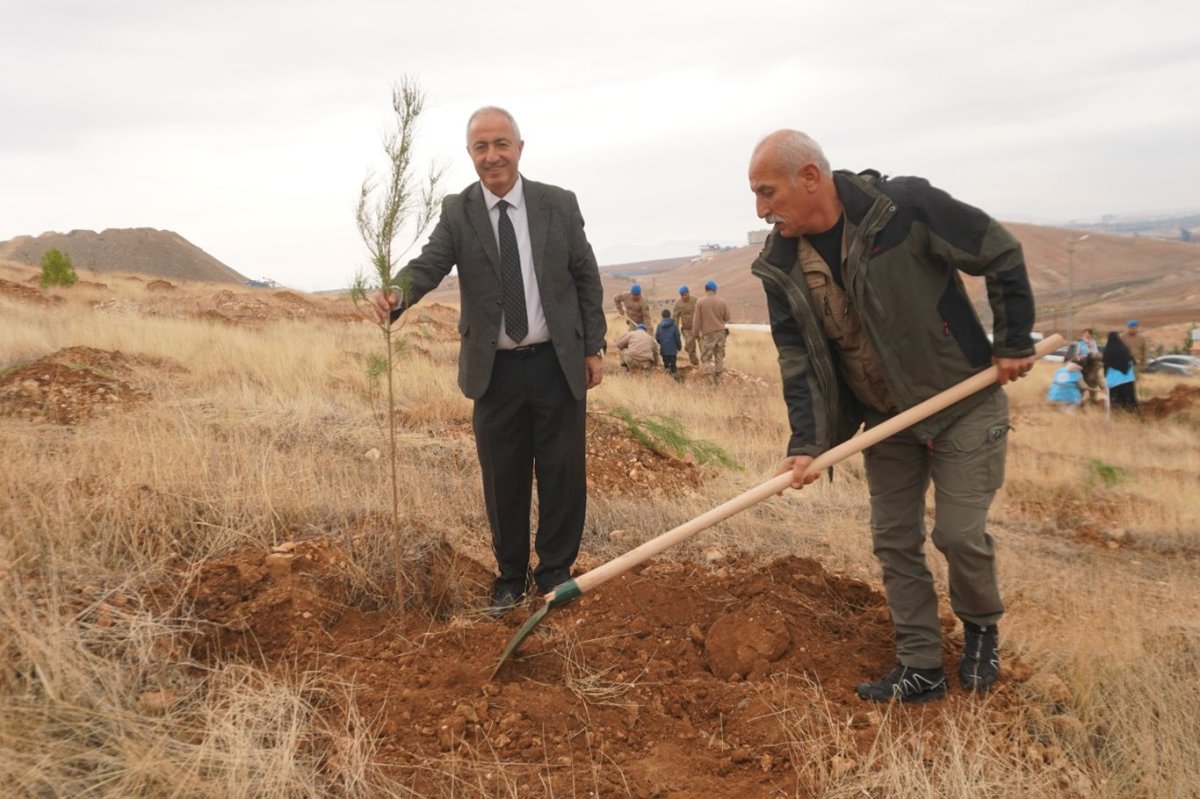 Siirt’te 2 bin 500 fidan toprakla buluştu