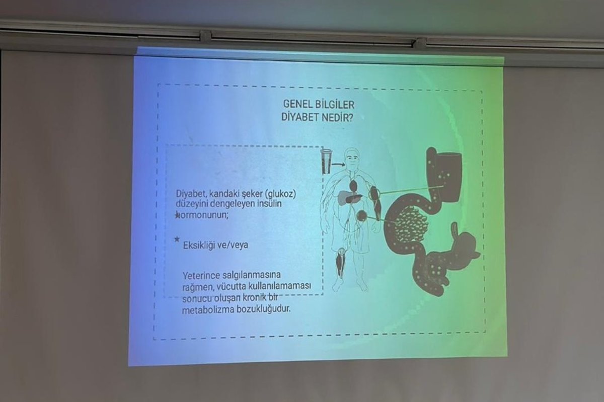 Siirt'te KOAH ve Diyabet hastalıkları ile ilgili seminer verildi