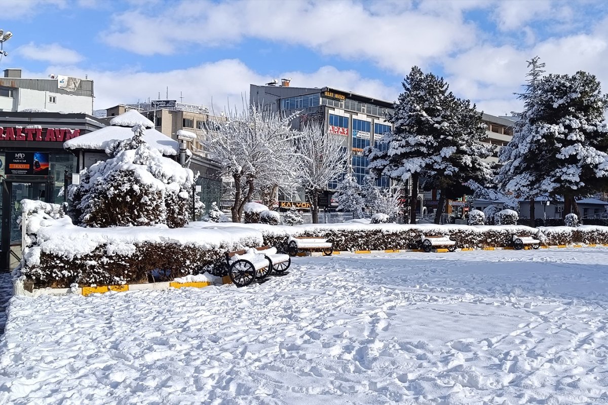 Van'da kar yağışı etkili oldu