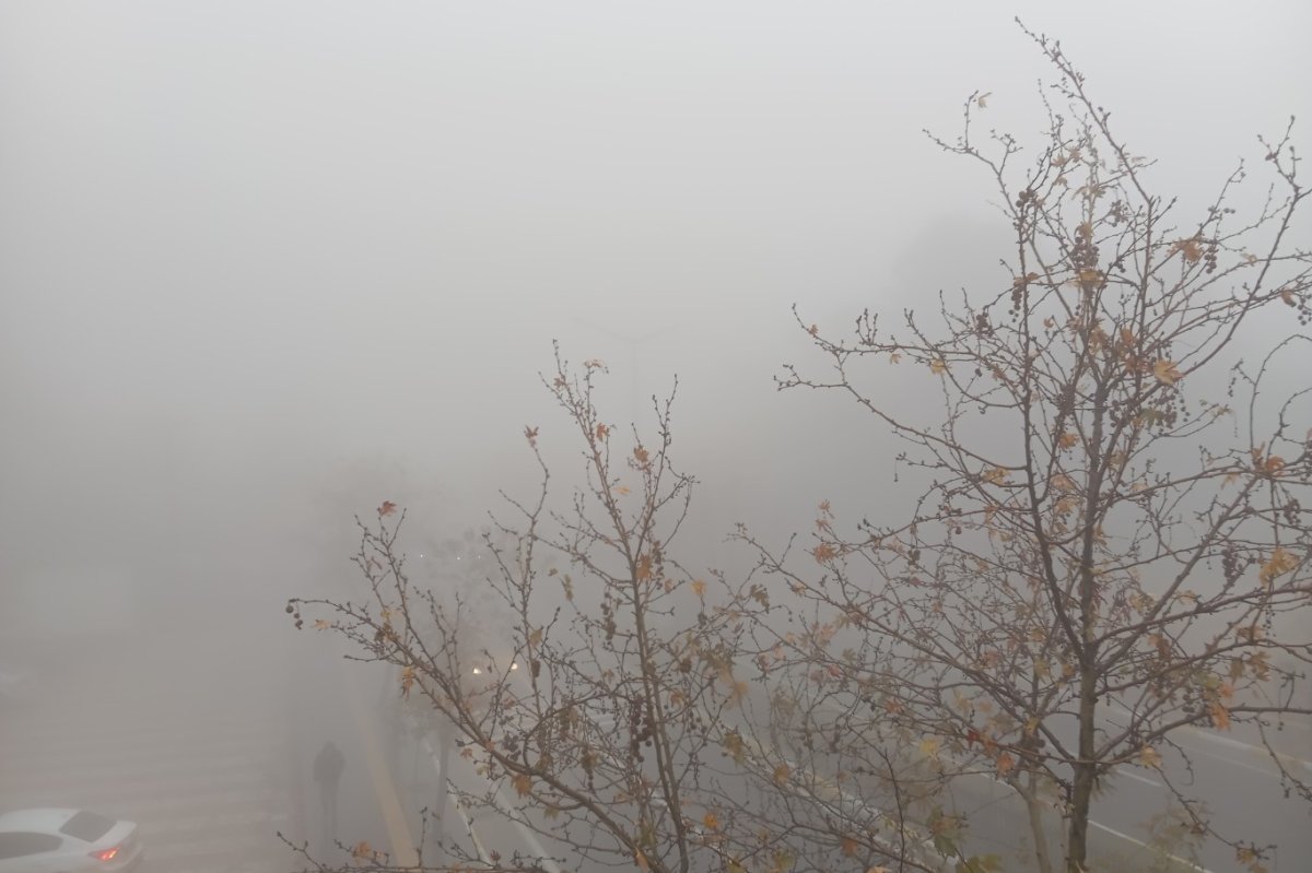 Mardin sabaha yoğun sisle uyandı