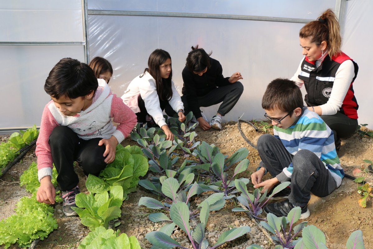 "Okuldaki Çiftlik" projesi ile öğrenciler tarımın içinde