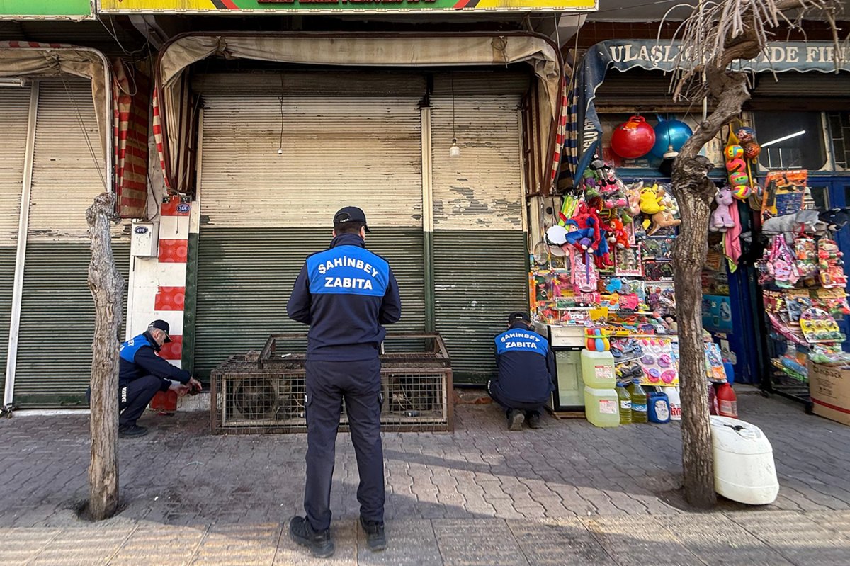 Gaziantep'te bozulmuş et satan işyerleri kapatıldı