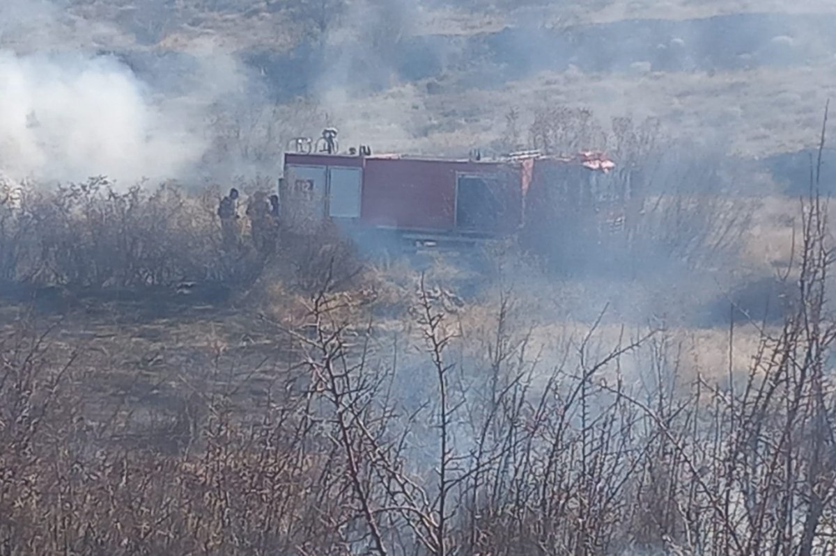 Mardin’de çıkan örtü yangını söndürüldü