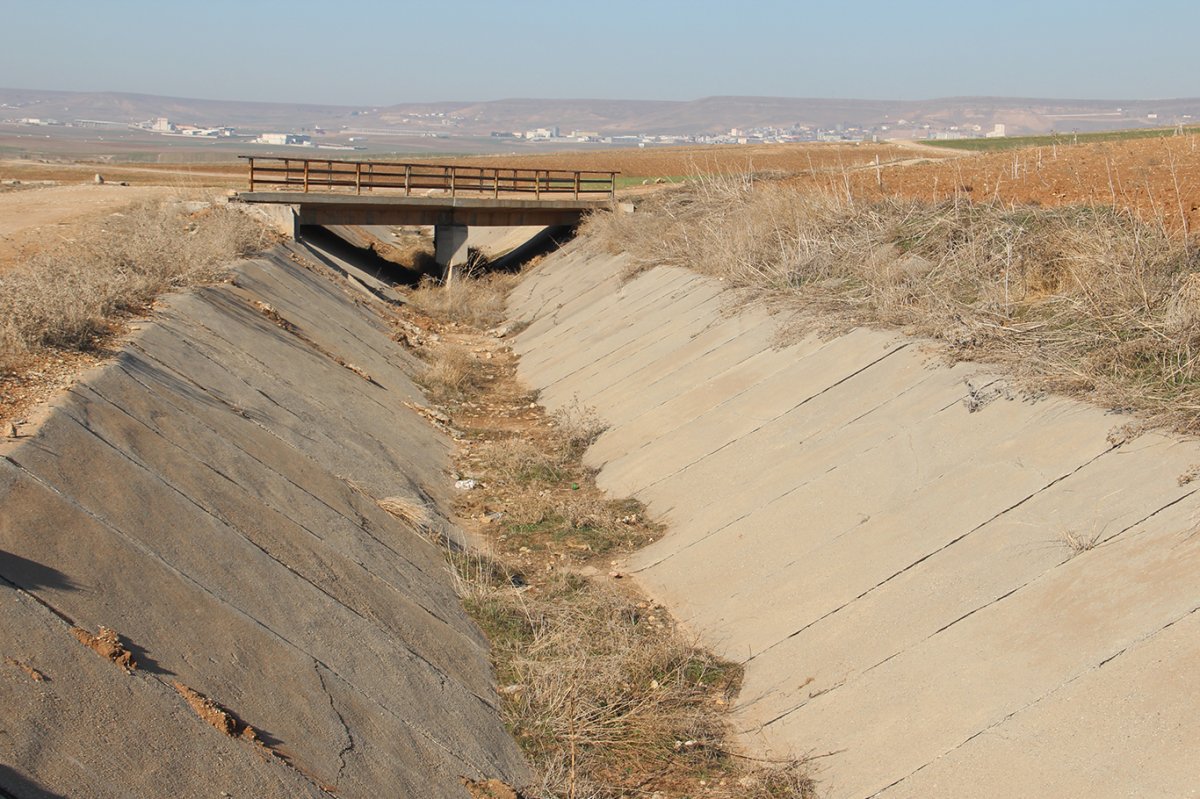 Kuraklık alarmı: Verim düşüklüğü yüzde 80'i bulabilir