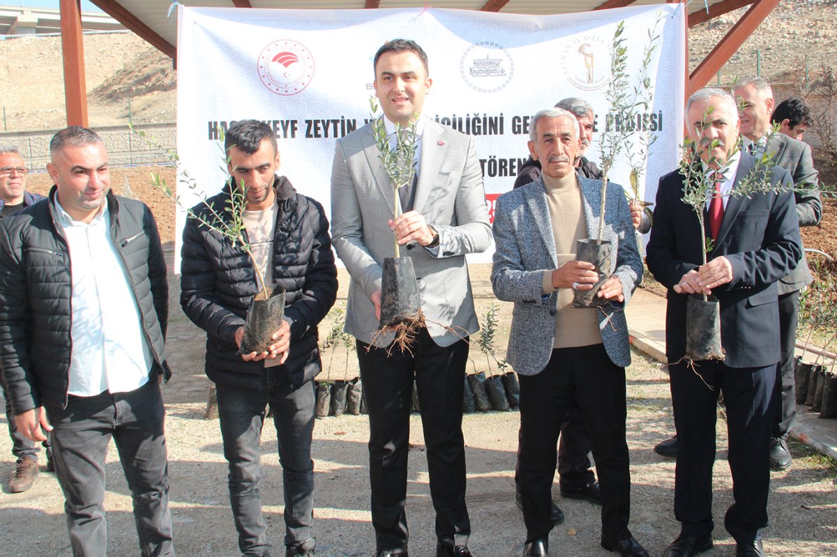 Hasankeyf'te zeytin yetiştiriciliği başlıyor: 120 çiftçiye 10 bin fidan dağıtıldı