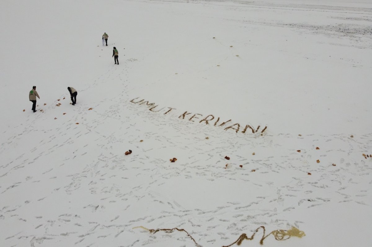 Hayvanların doğada aç kalmaması için çalışma yaptılar