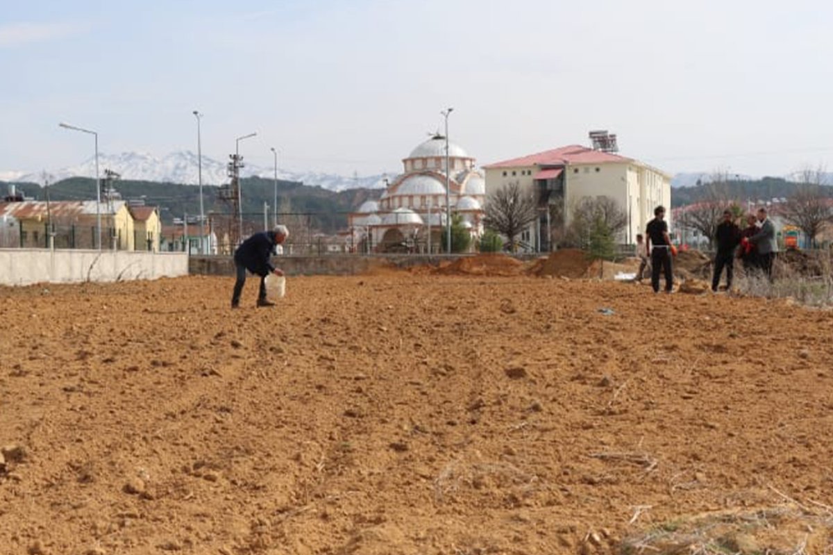 Bingöl'de Guldar domatesi toprakla buluştu