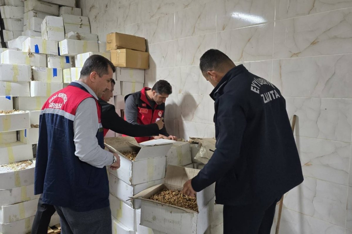 Baklava imalatçısında tonlarca bozulmuş ceviz ele geçirildi