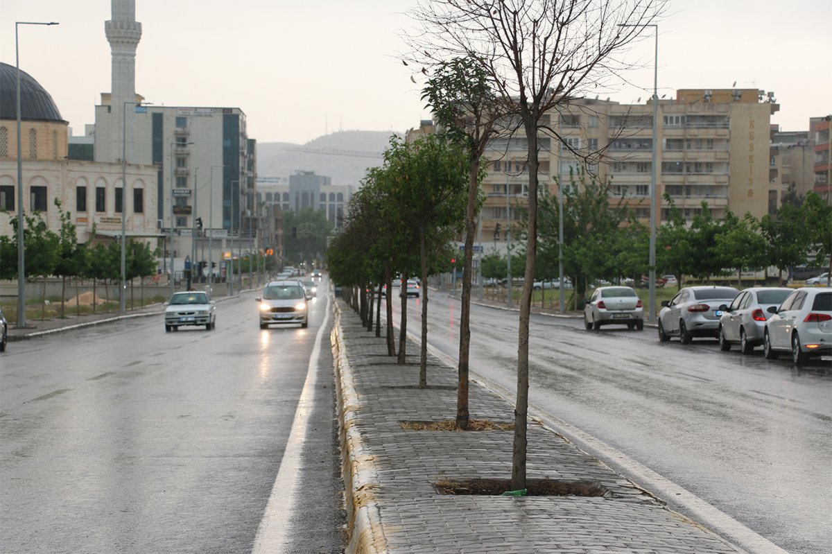 Şanlıurfa'da sağanak yağış etkili oldu