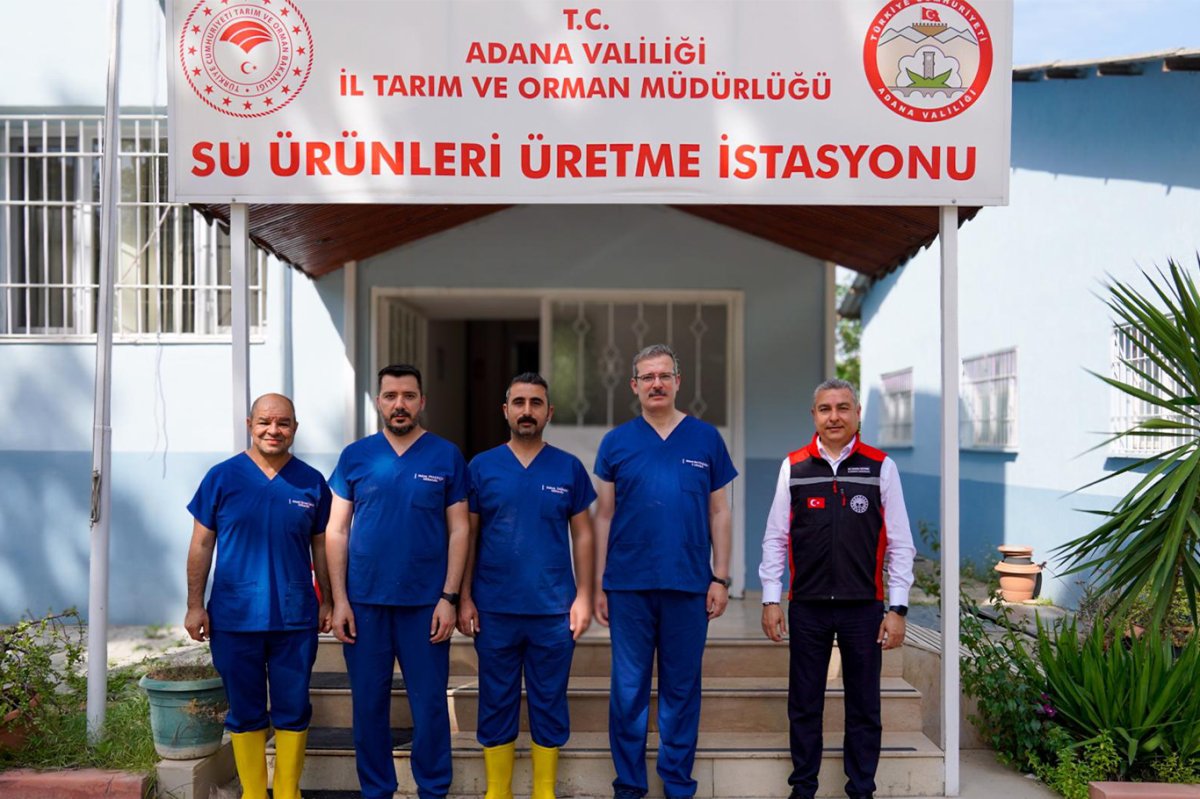 Adana’da balık üretim sezonu başladı: Hedef 12 milyonun üzerinde yavru sazan
