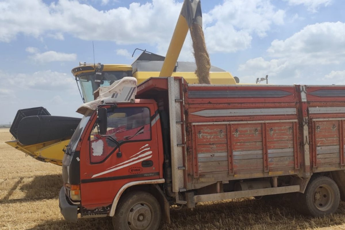 Mardin’de sezonun ilk buğday hasadı yapıldı