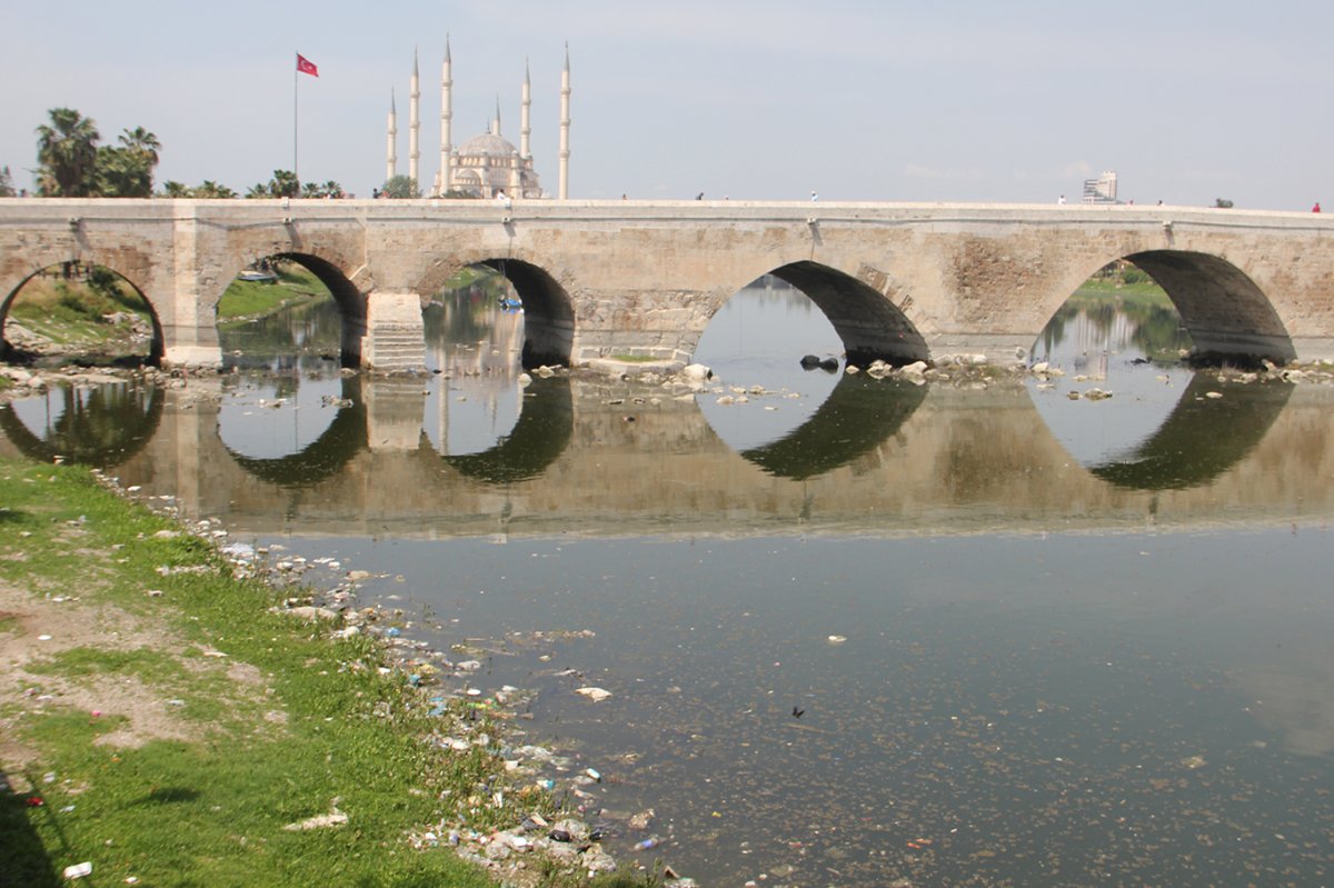 Adanalılar sinek sorunu nedeniyle tepkili: Belediyenin ilaçlama çalışmaları yetersiz