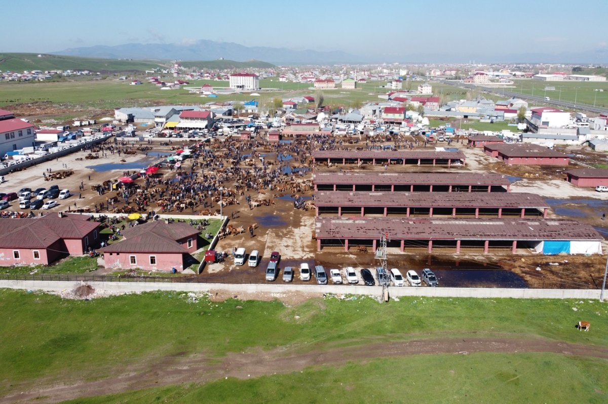 Kurban piyasası fiyat istikrarsızlığından sakin günler geçiriyor