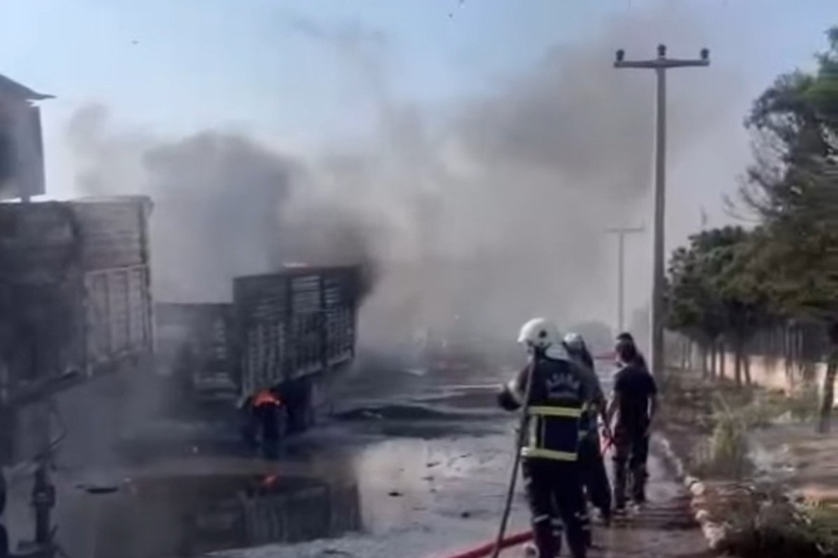 Adana'nın Ceyhan ilçesinde iki dorsede yangın çıktı