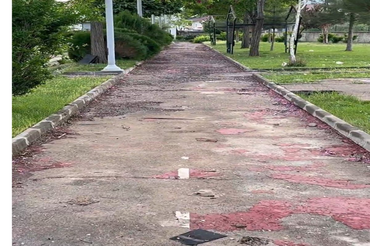 Bingöl'ün Genç ilçesindeki park bakımsızlıktan tehlike saçıyor