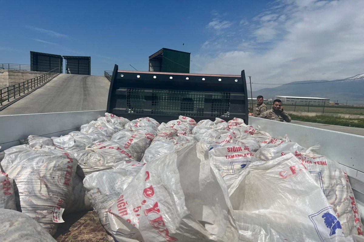 Kaçak yollar ile taşınan 2 ton inci kefali Ağrı'da ele geçirildi