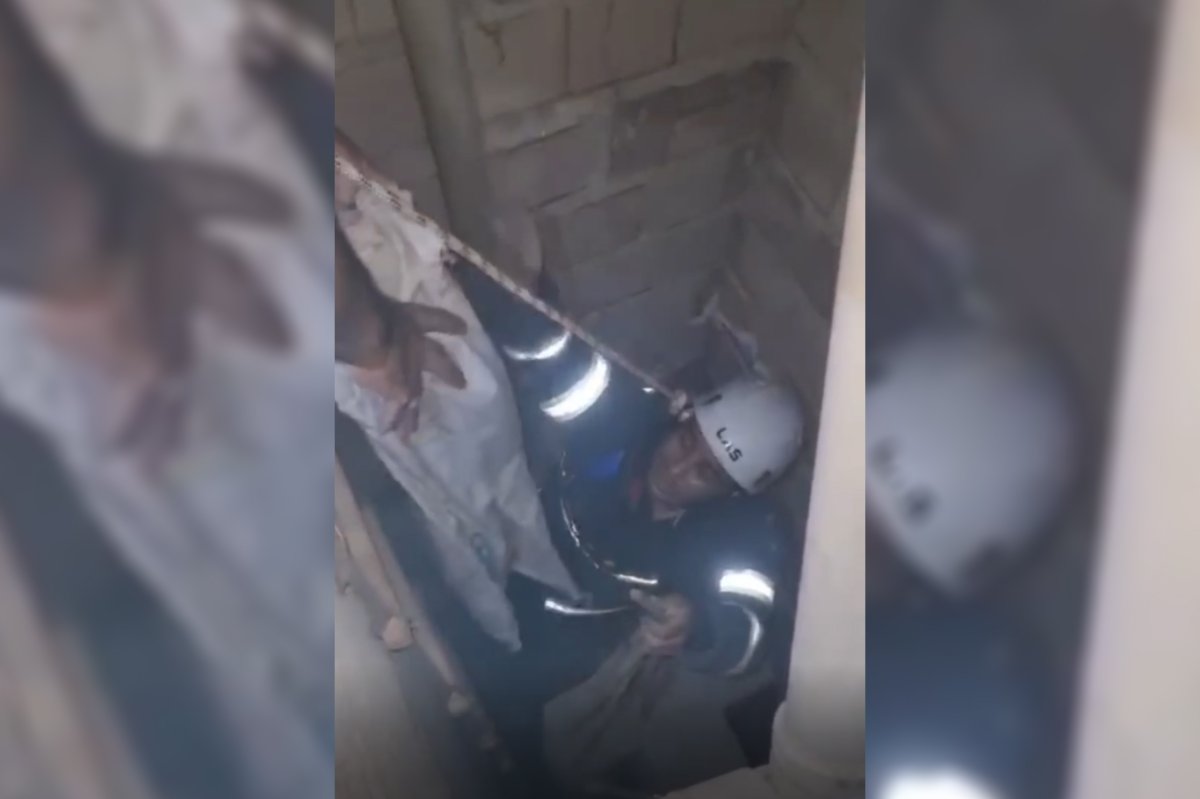 Şanlıurfa'da havalandırma boşluğuna düşen üç yavru kedi kurtarıldı