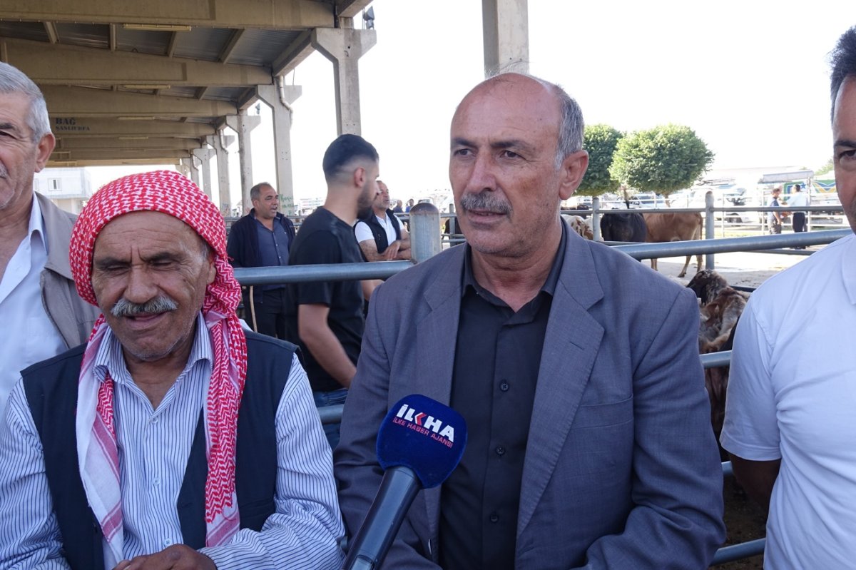 Kurbanlıklar pazara çıktı, gözler bayram satışlarında